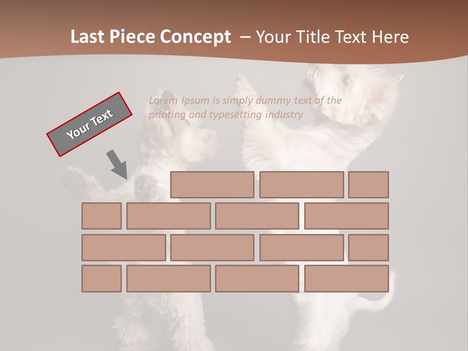 Studio Breed Terrier PowerPoint Template