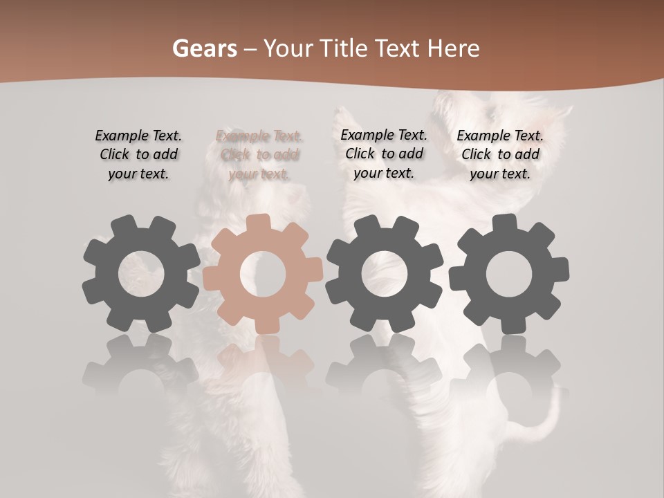 Studio Breed Terrier PowerPoint Template