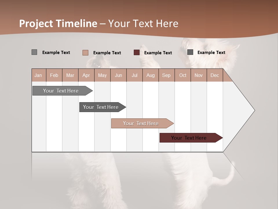 Studio Breed Terrier PowerPoint Template