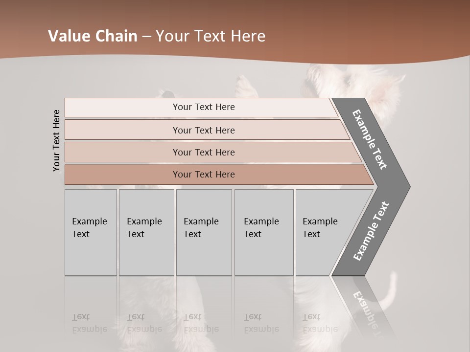 Studio Breed Terrier PowerPoint Template