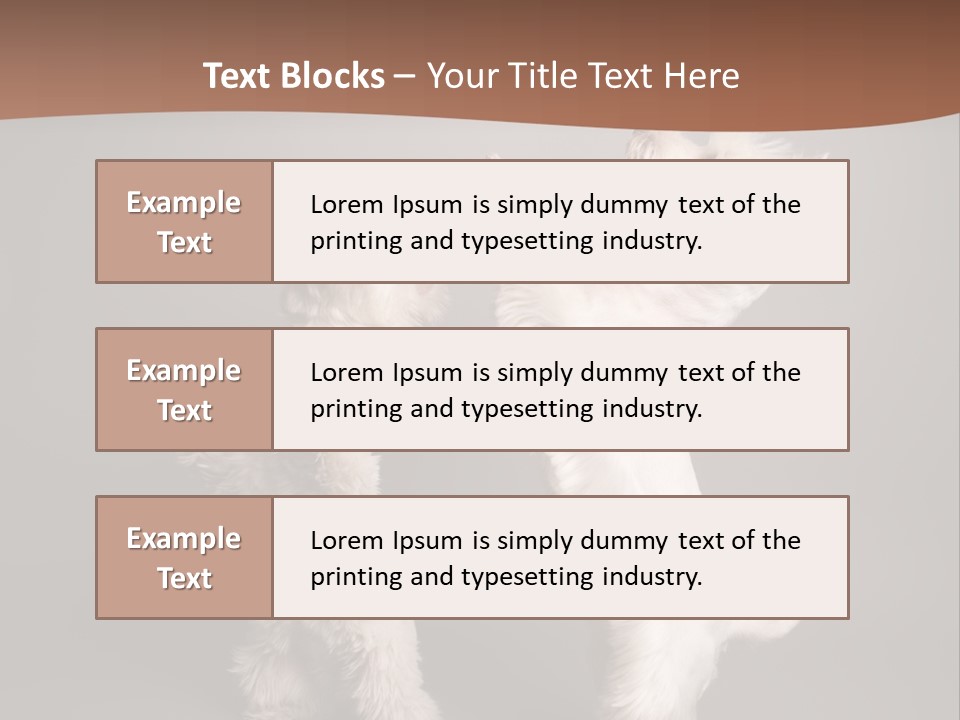 Studio Breed Terrier PowerPoint Template