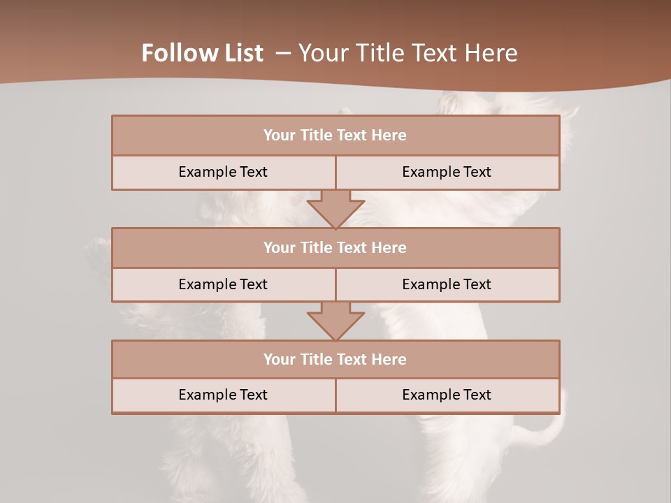 Studio Breed Terrier PowerPoint Template