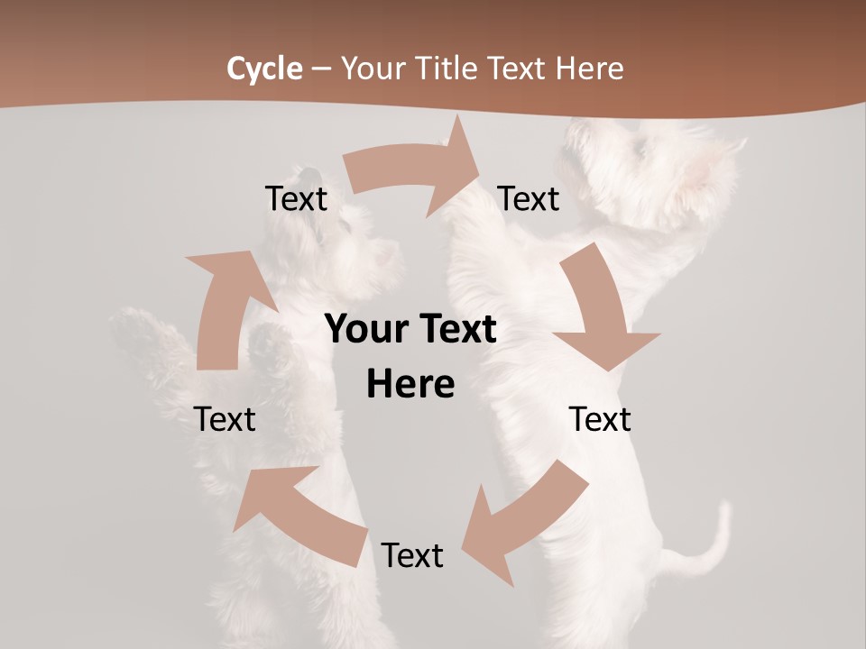 Studio Breed Terrier PowerPoint Template