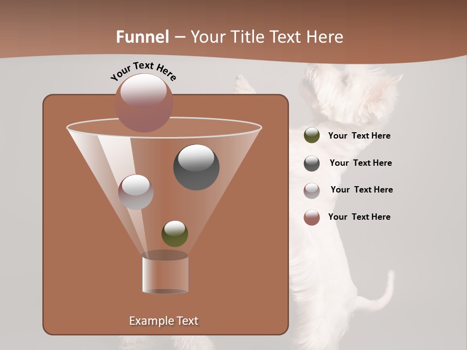 Studio Breed Terrier PowerPoint Template