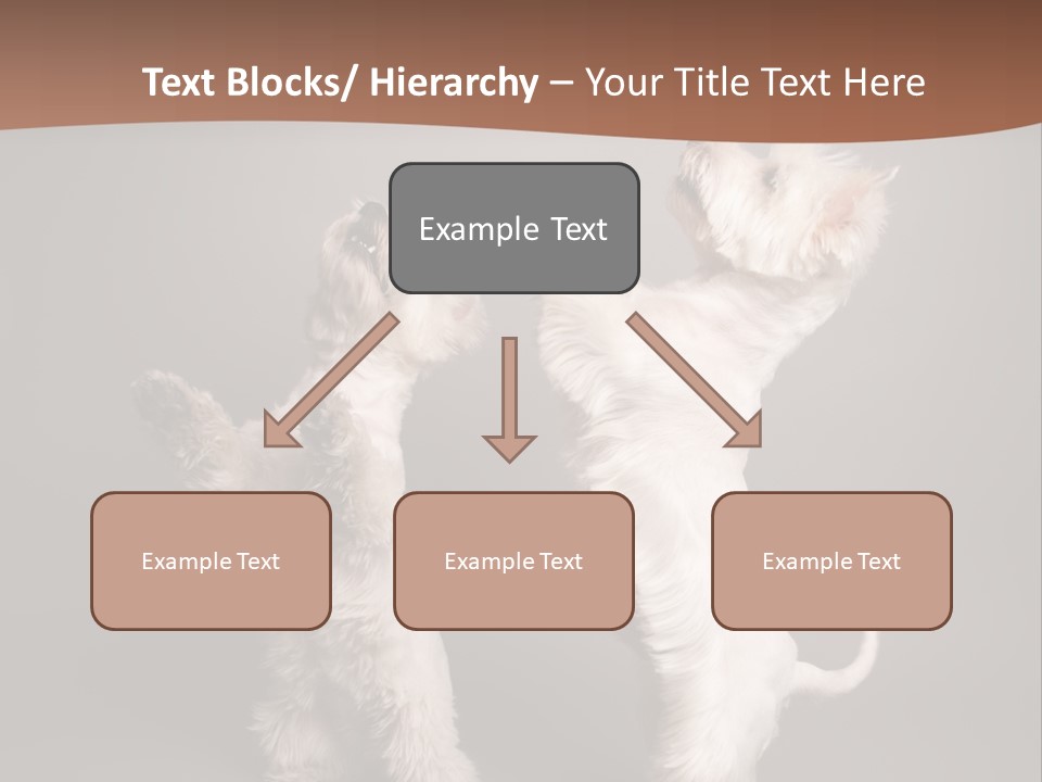 Studio Breed Terrier PowerPoint Template