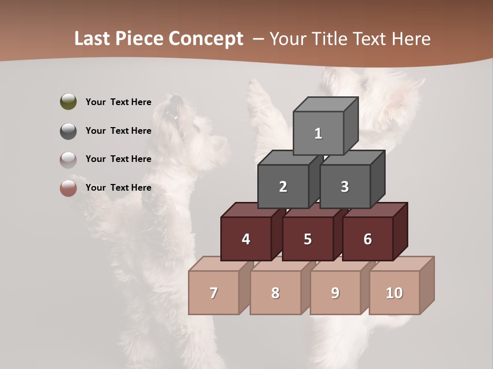 Studio Breed Terrier PowerPoint Template