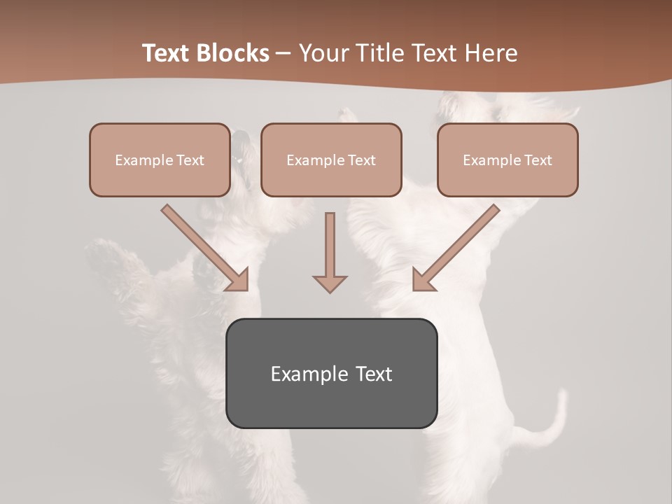 Studio Breed Terrier PowerPoint Template