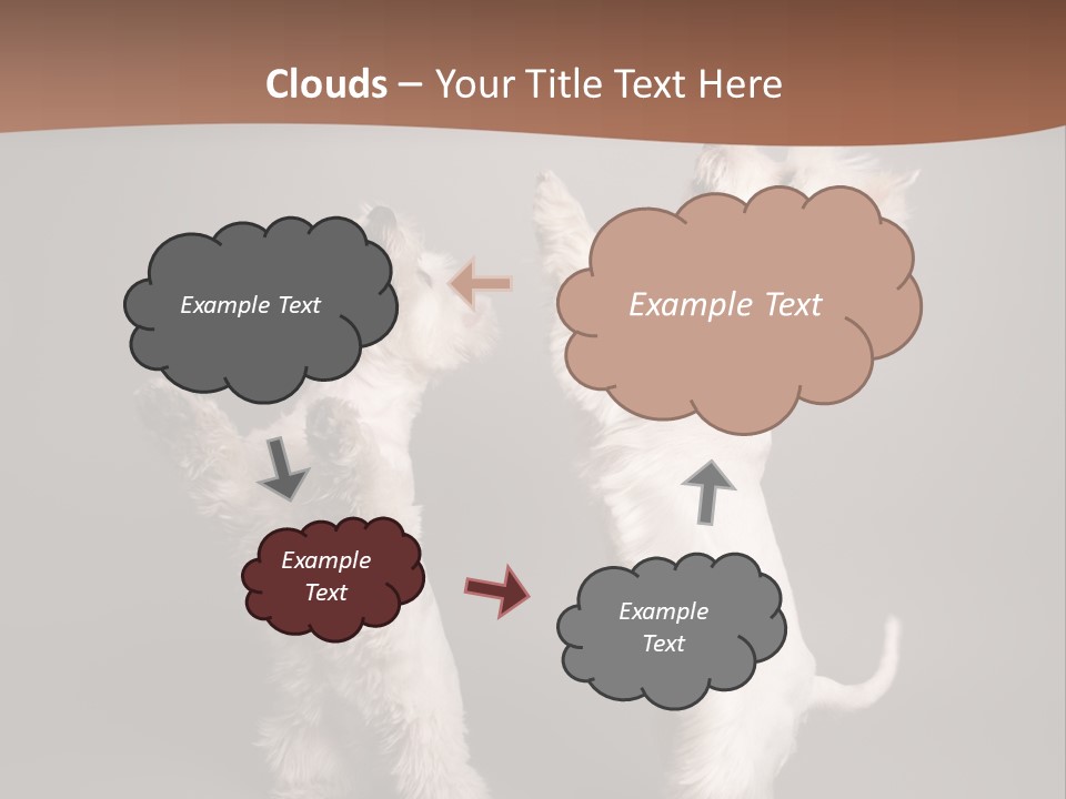 Studio Breed Terrier PowerPoint Template