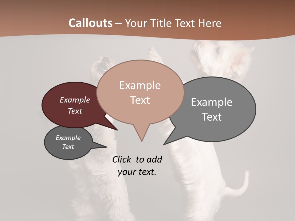 Studio Breed Terrier PowerPoint Template