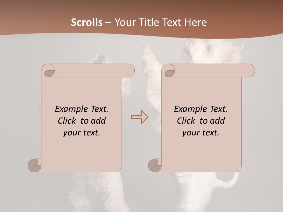 Studio Breed Terrier PowerPoint Template