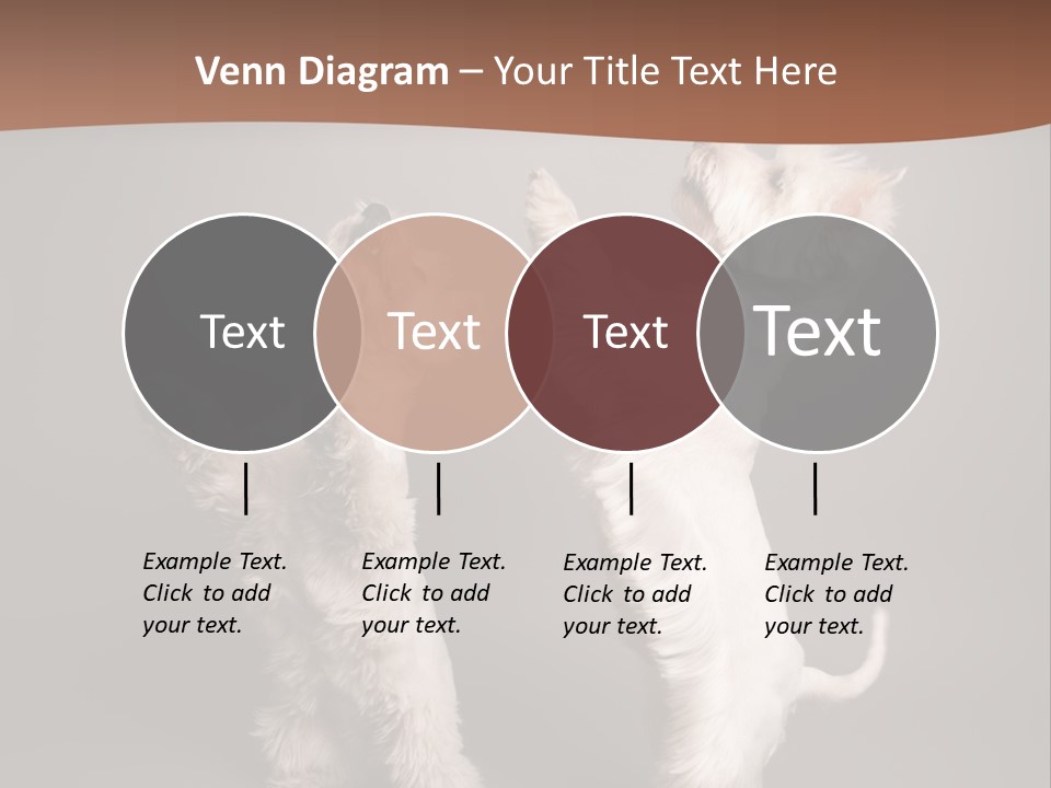 Studio Breed Terrier PowerPoint Template