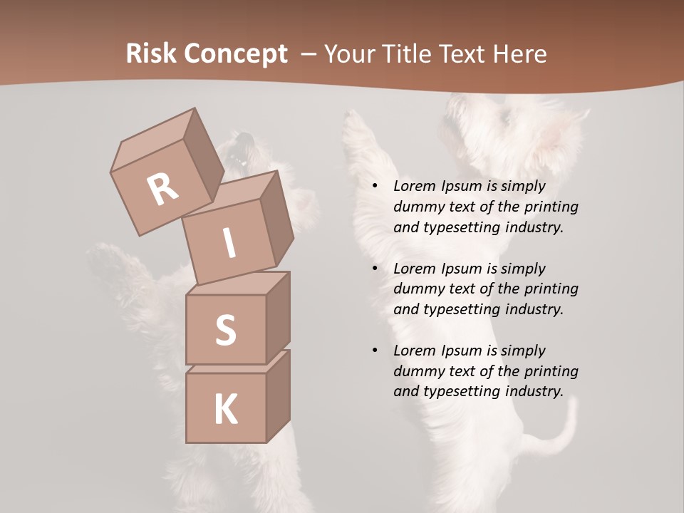 Studio Breed Terrier PowerPoint Template