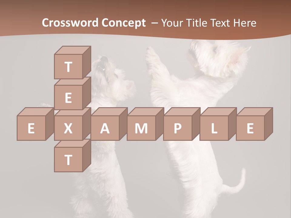 Studio Breed Terrier PowerPoint Template