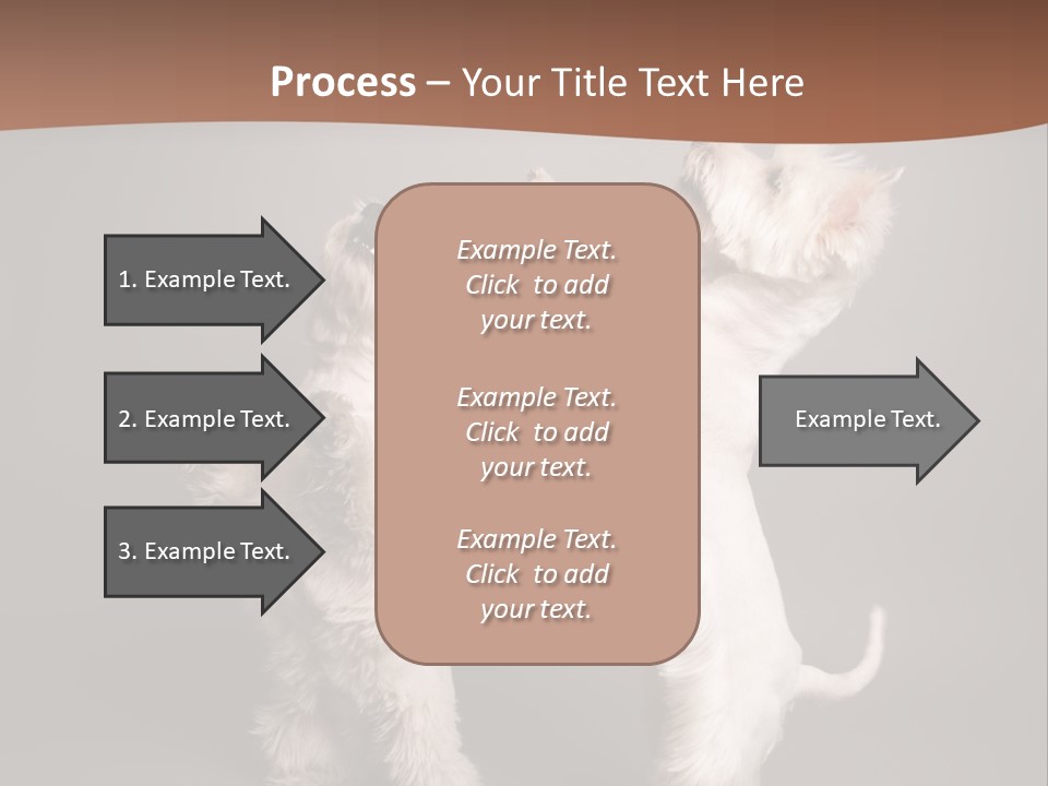 Studio Breed Terrier PowerPoint Template