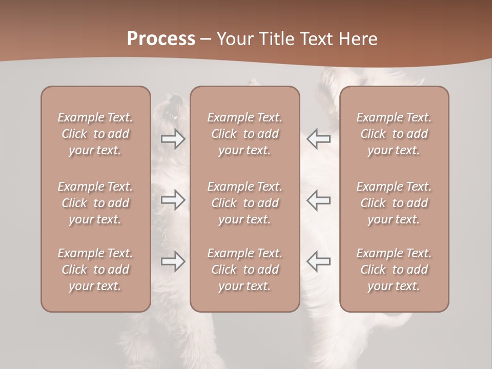 Studio Breed Terrier PowerPoint Template