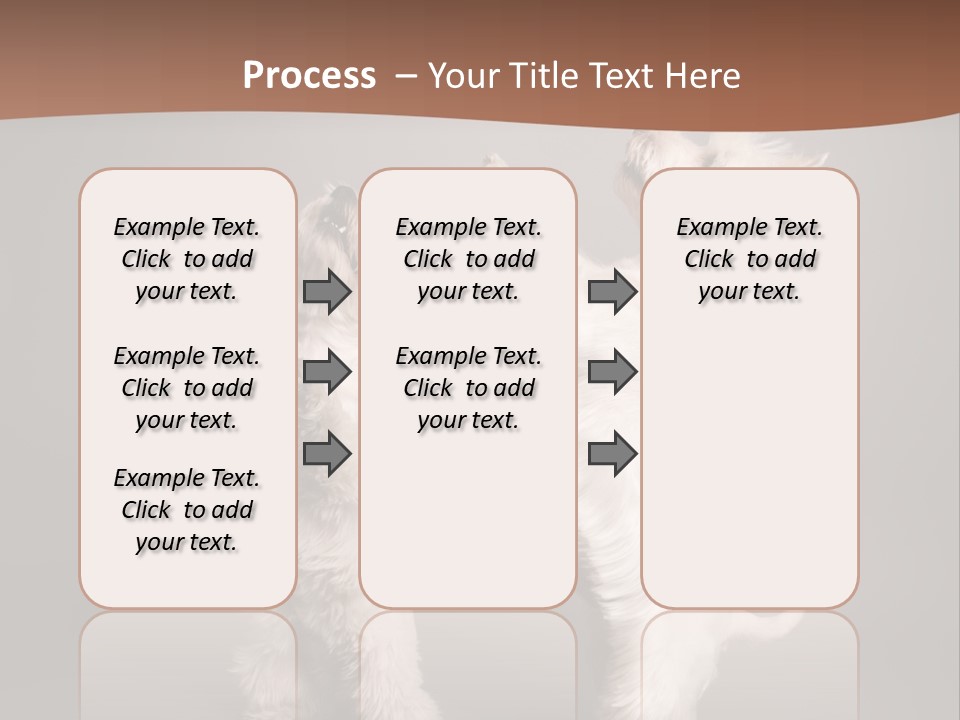 Studio Breed Terrier PowerPoint Template