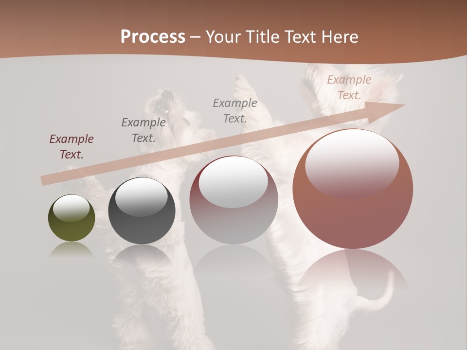 Studio Breed Terrier PowerPoint Template