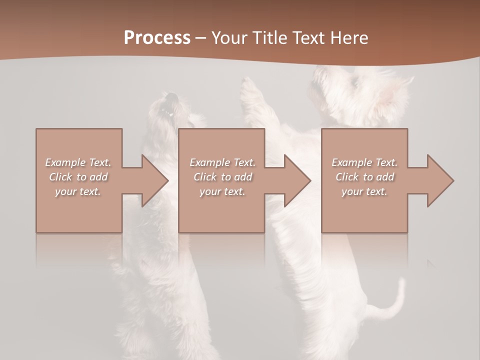 Studio Breed Terrier PowerPoint Template