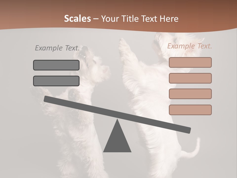 Studio Breed Terrier PowerPoint Template