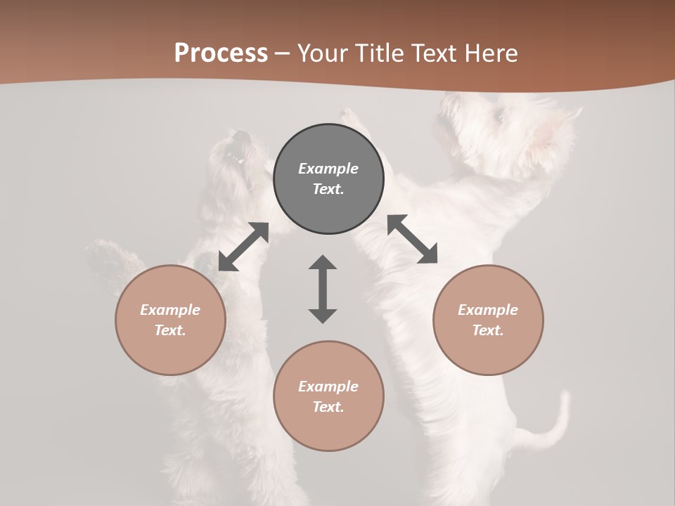 Studio Breed Terrier PowerPoint Template