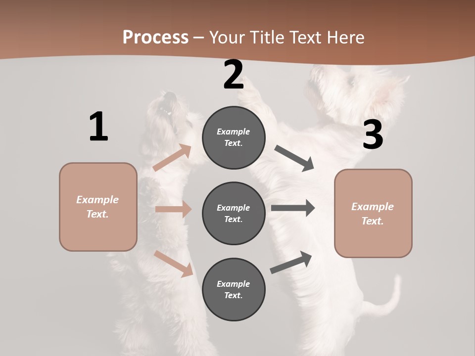 Studio Breed Terrier PowerPoint Template