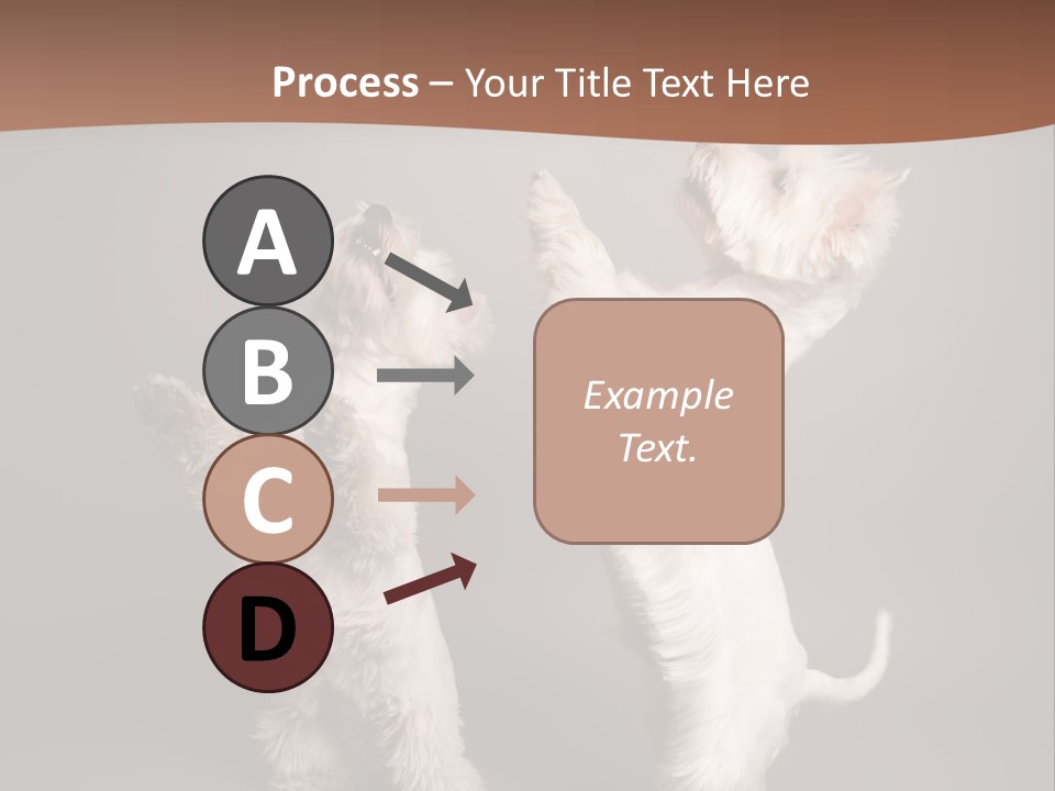 Studio Breed Terrier PowerPoint Template