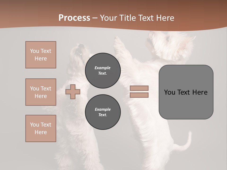 Studio Breed Terrier PowerPoint Template