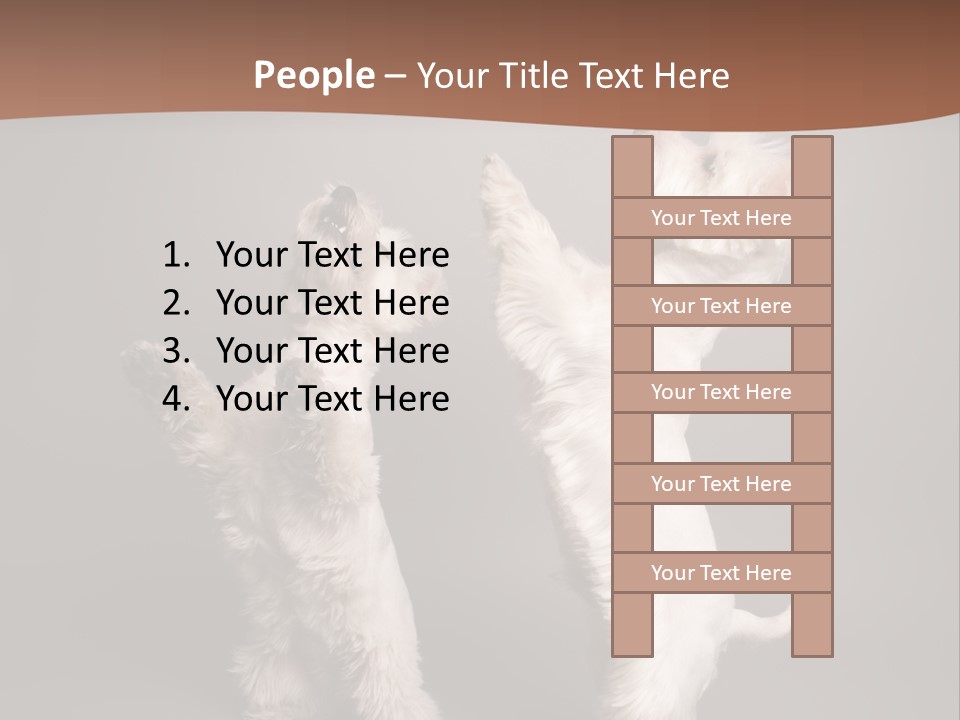 Studio Breed Terrier PowerPoint Template