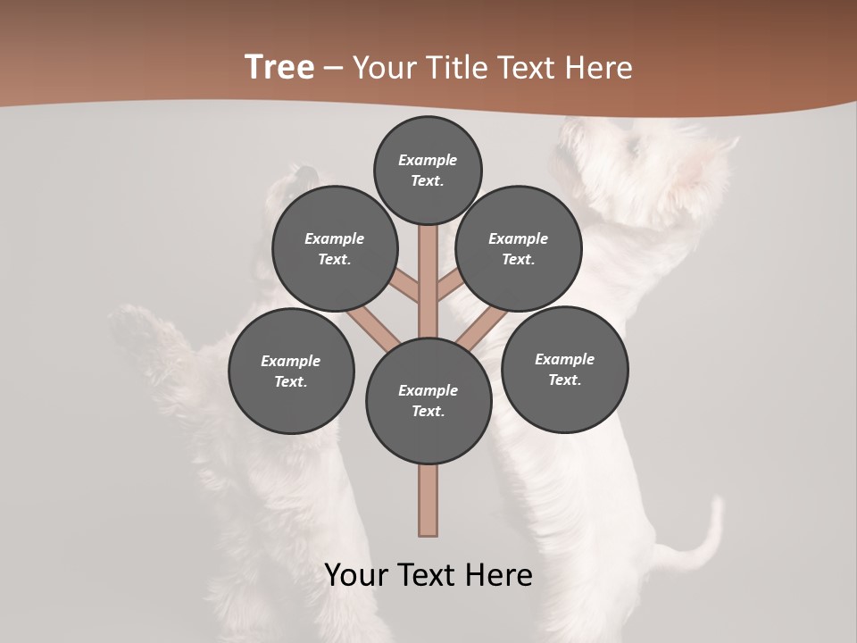 Studio Breed Terrier PowerPoint Template