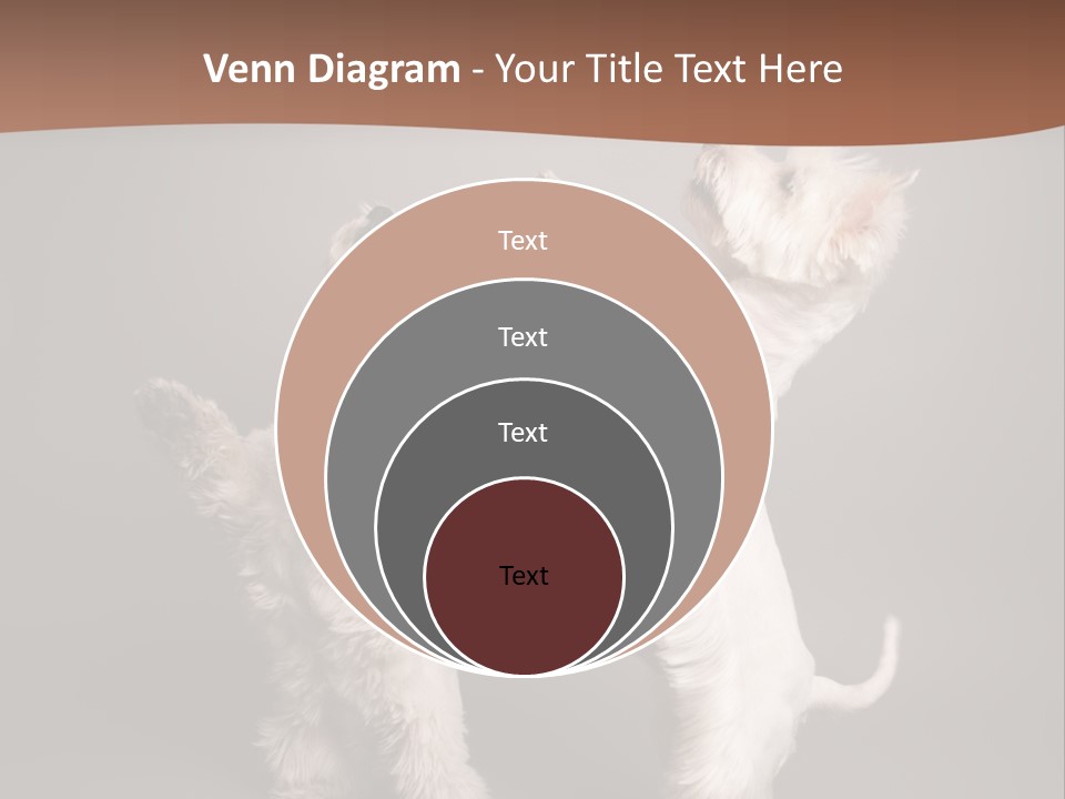 Studio Breed Terrier PowerPoint Template