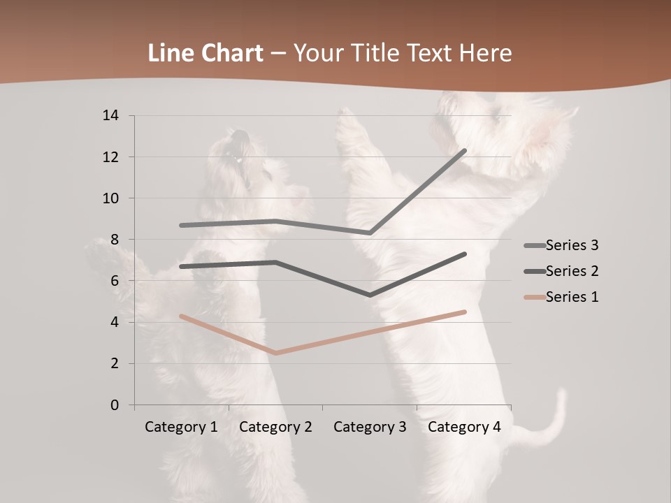 Studio Breed Terrier PowerPoint Template