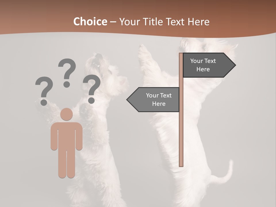 Studio Breed Terrier PowerPoint Template