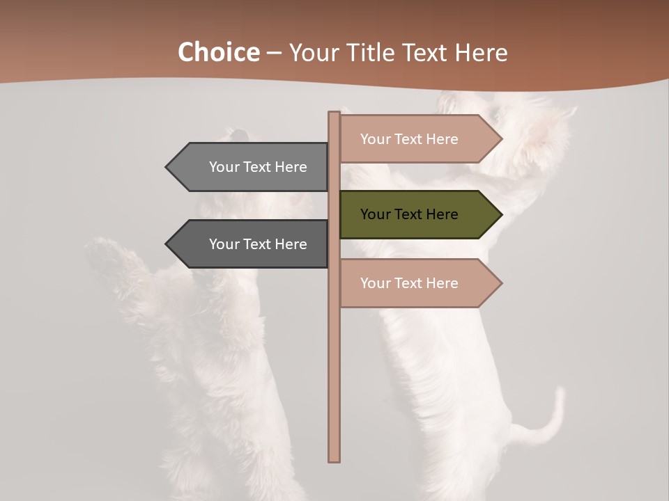 Studio Breed Terrier PowerPoint Template