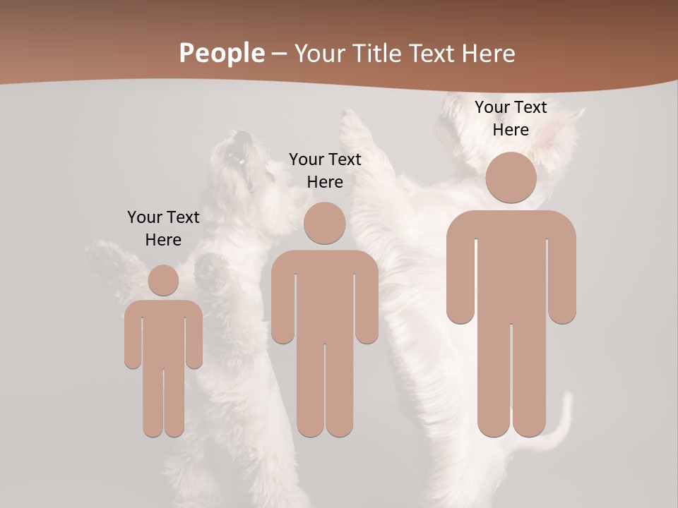 Studio Breed Terrier PowerPoint Template