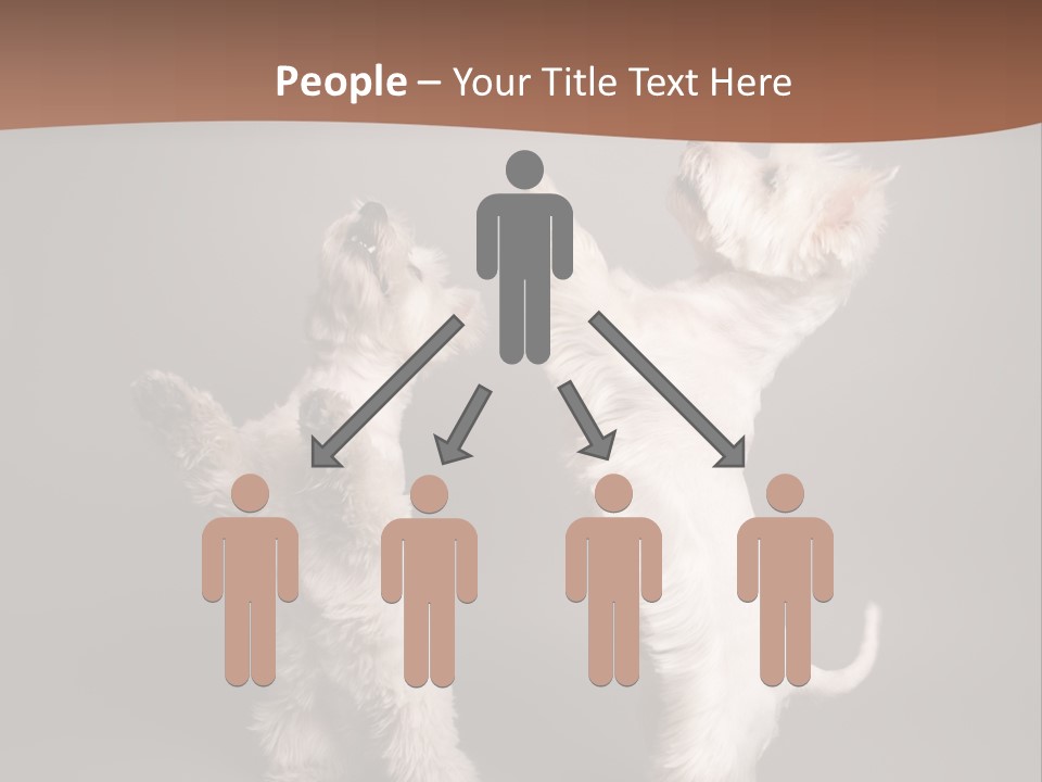 Studio Breed Terrier PowerPoint Template