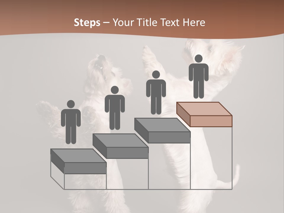 Studio Breed Terrier PowerPoint Template