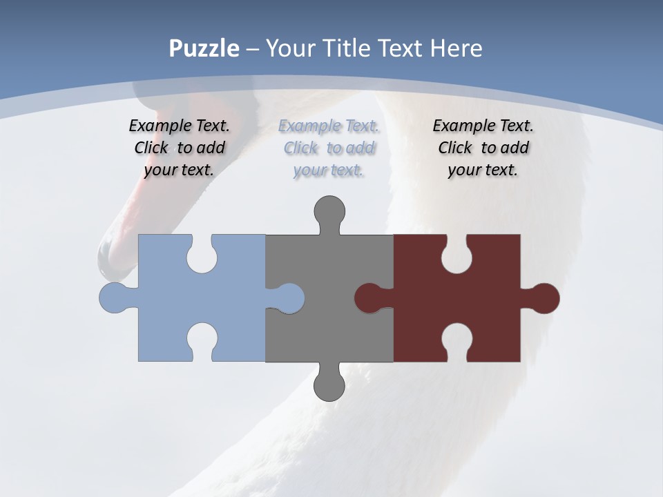 Swan Gracious Cygnus Olor PowerPoint Template