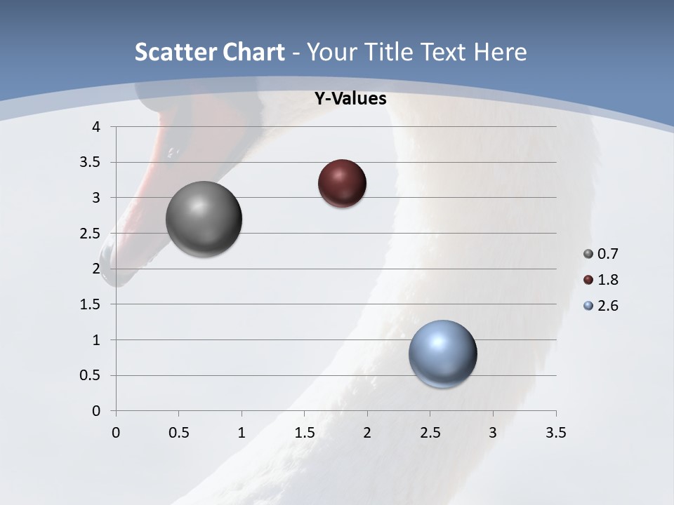 Swan Gracious Cygnus Olor PowerPoint Template