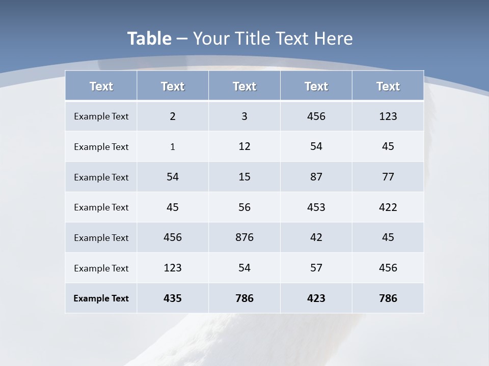 Swan Gracious Cygnus Olor PowerPoint Template