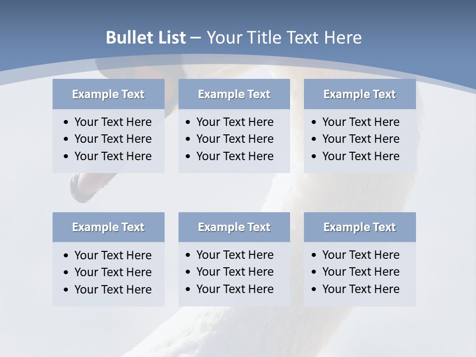 Swan Gracious Cygnus Olor PowerPoint Template