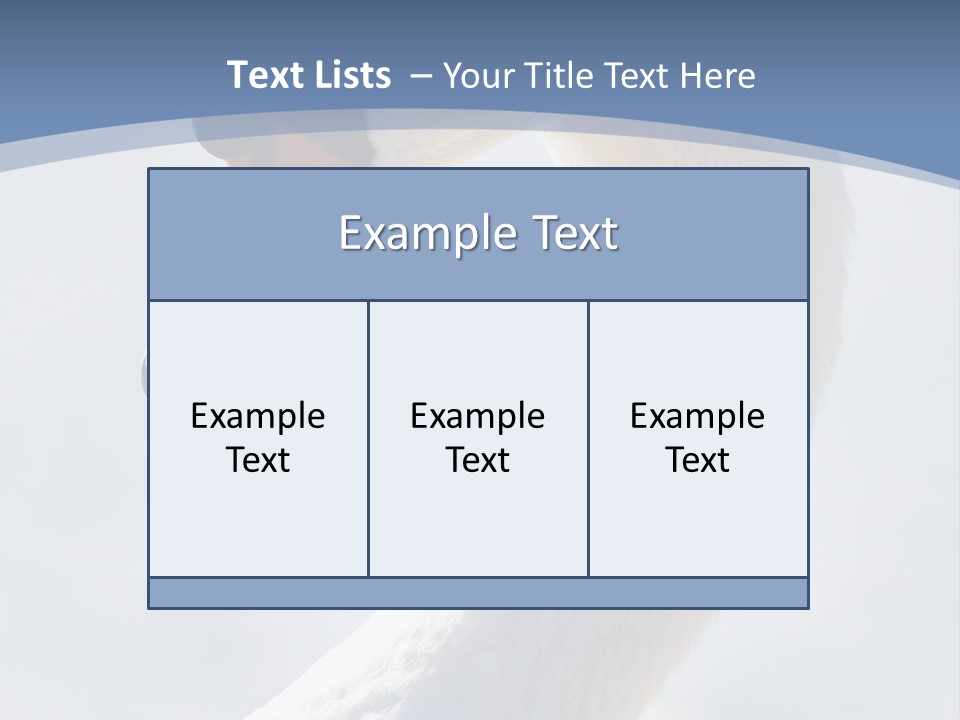 Swan Gracious Cygnus Olor PowerPoint Template