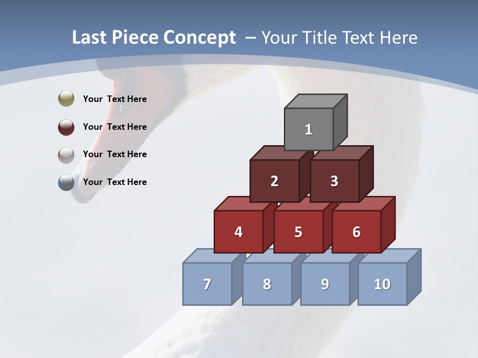 Swan Gracious Cygnus Olor PowerPoint Template