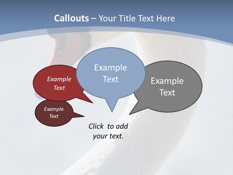 Swan Gracious Cygnus Olor PowerPoint Template