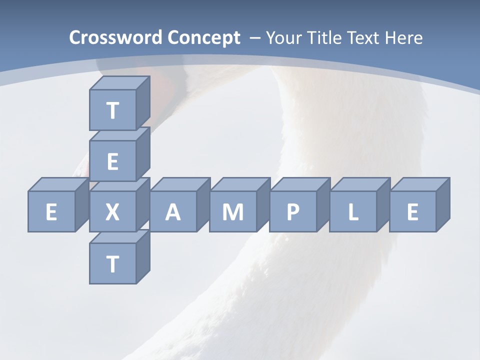 Swan Gracious Cygnus Olor PowerPoint Template