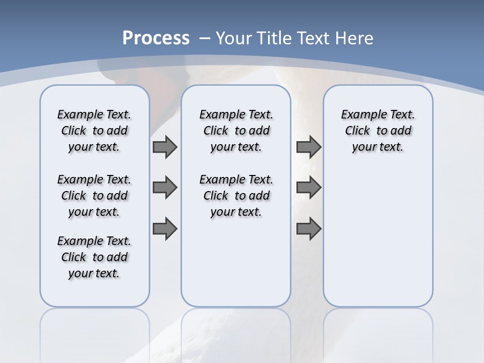 Swan Gracious Cygnus Olor PowerPoint Template