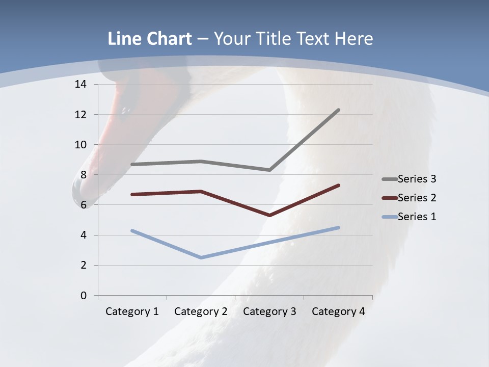 Swan Gracious Cygnus Olor PowerPoint Template