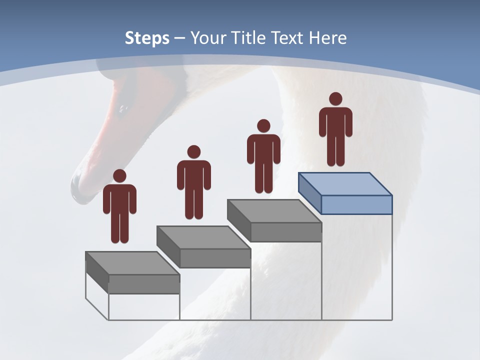 Swan Gracious Cygnus Olor PowerPoint Template