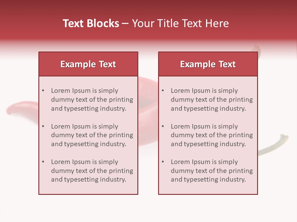 Mexican Macro Image PowerPoint Template