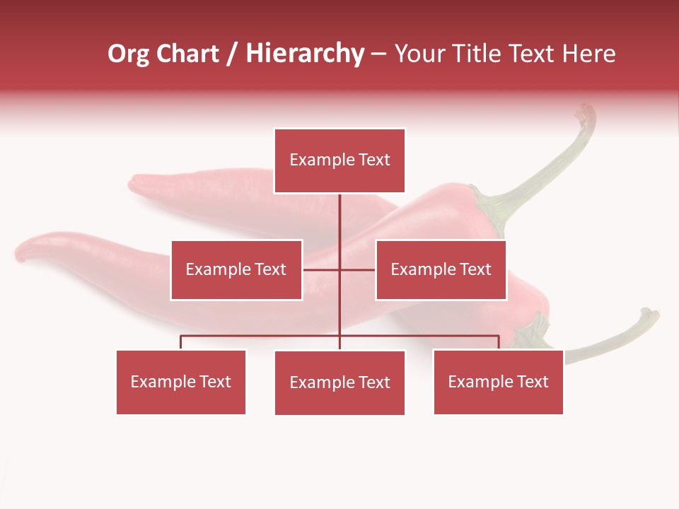 Mexican Macro Image PowerPoint Template