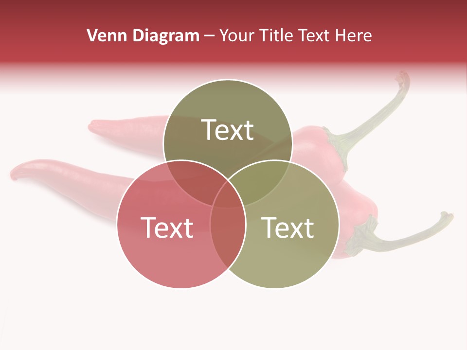 Mexican Macro Image PowerPoint Template